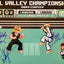 Ralph Macchio, Billy Zabka & Martin Kove Signed 11x14 Karate Kid 8-bit Beckett COA from Private Signing